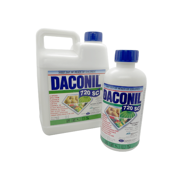 Product Featured